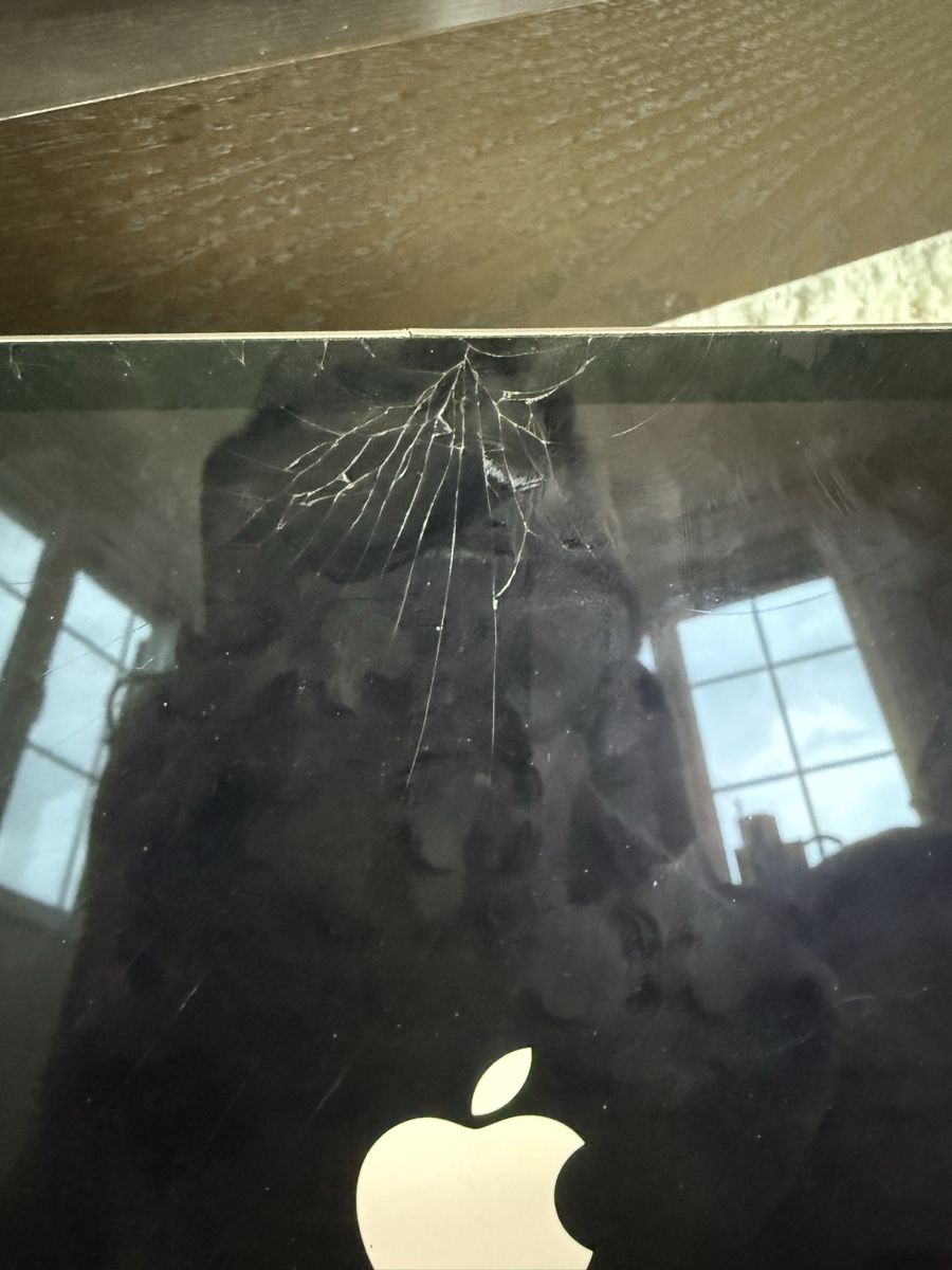 Apple Tablet PC: Gebrauchtes iPad Pro mit Magic Keyboard - Defekt! – Usato da Herrliberg venduto da ang_7h5l 7