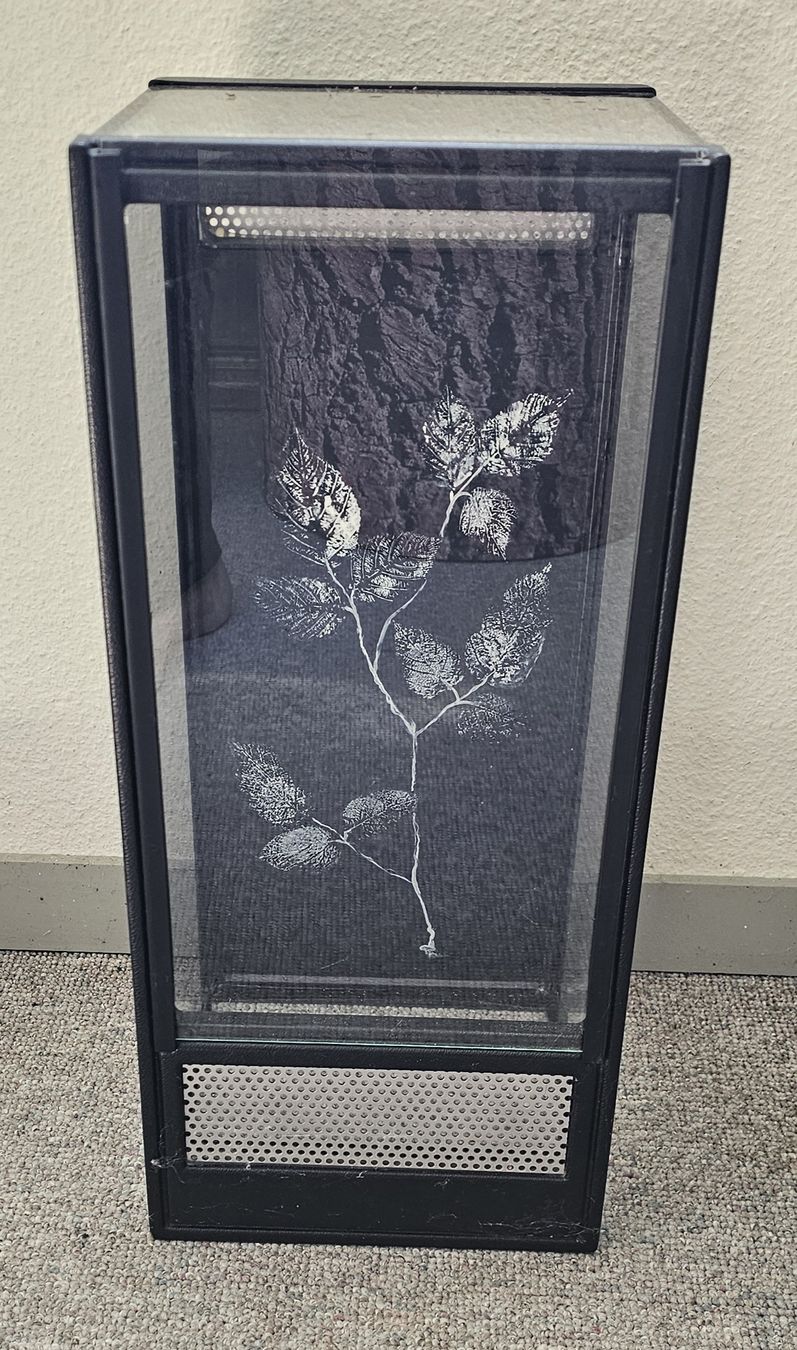 Terrarium: Spinnen oder Insekten-Terrarium – Neu (gemäss Beschreibung) aus Wangen b. Olten von ErikaK06