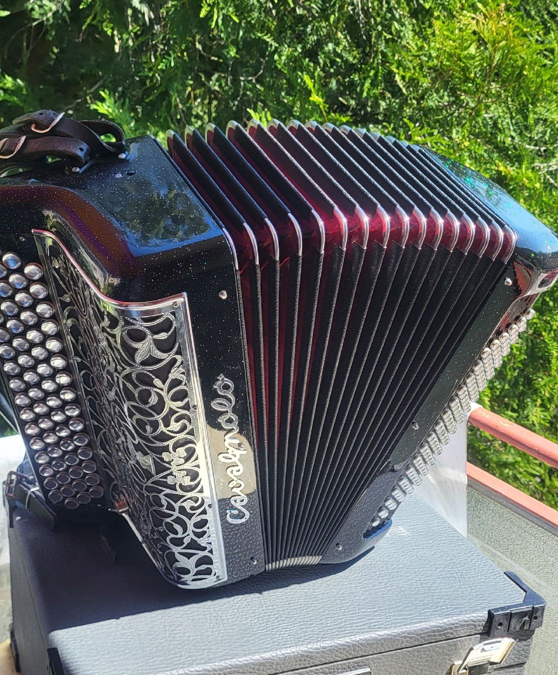 Strumenti musicali: Accordéon Cavagnolo électronique – Usato da Penthalaz venduto da EvandroLuz 2