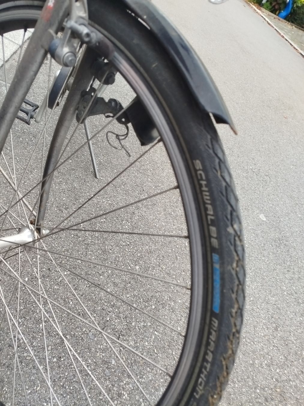 Biciclette: Velo – Usato da heerbrugg venduto da Daniela68 3