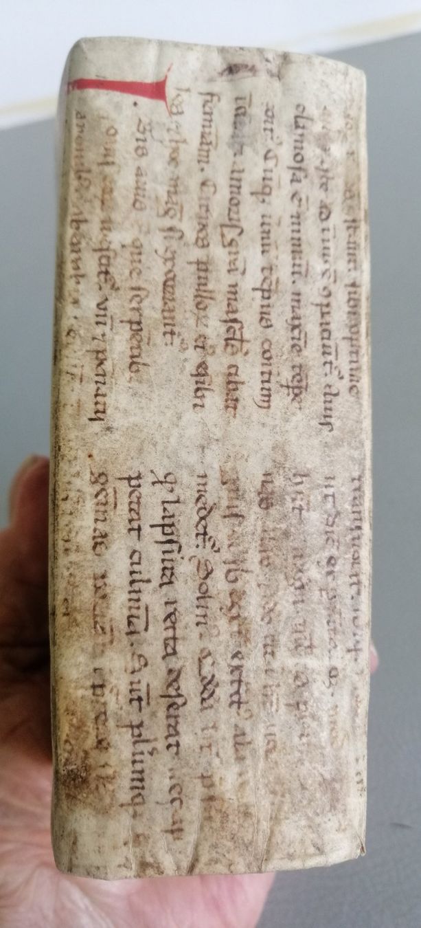 Livres: Antikes Buch "Poliologia" 1702 – D'occasion à Mörschwil par Erwin8242 7
