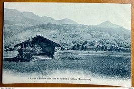 Les Diablerets - Plaine des Iles & Palette d'Isenau