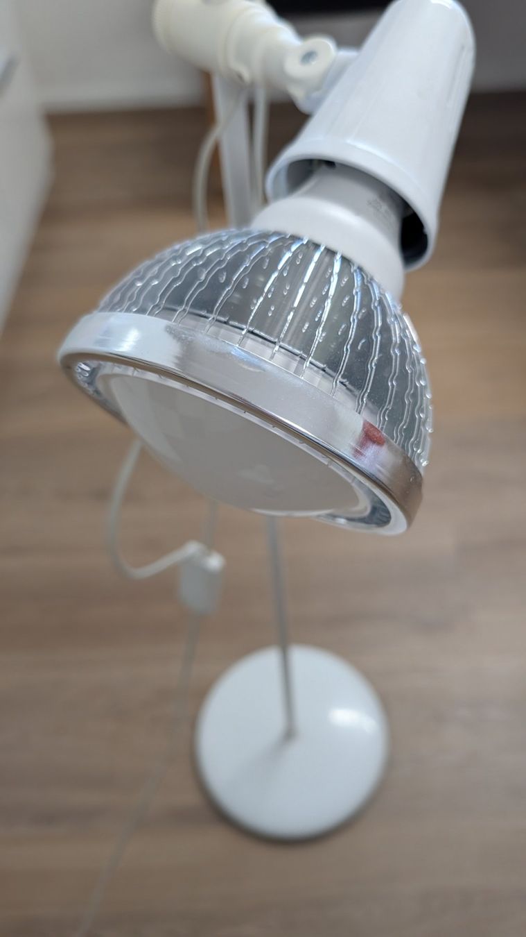 Lampen: Pflanzenleuchte 360 Grad verstellbar – Gebraucht aus Bönigen von Twpin 1