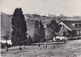 Rigi - Scheidegg - Touristenhaus - Blick auf die Berneralpen