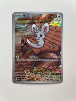 Minccino Illustration rare Pokemon EN