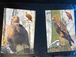 WWF Ungarn 1983 Lot Greifvögel Maximumkarten