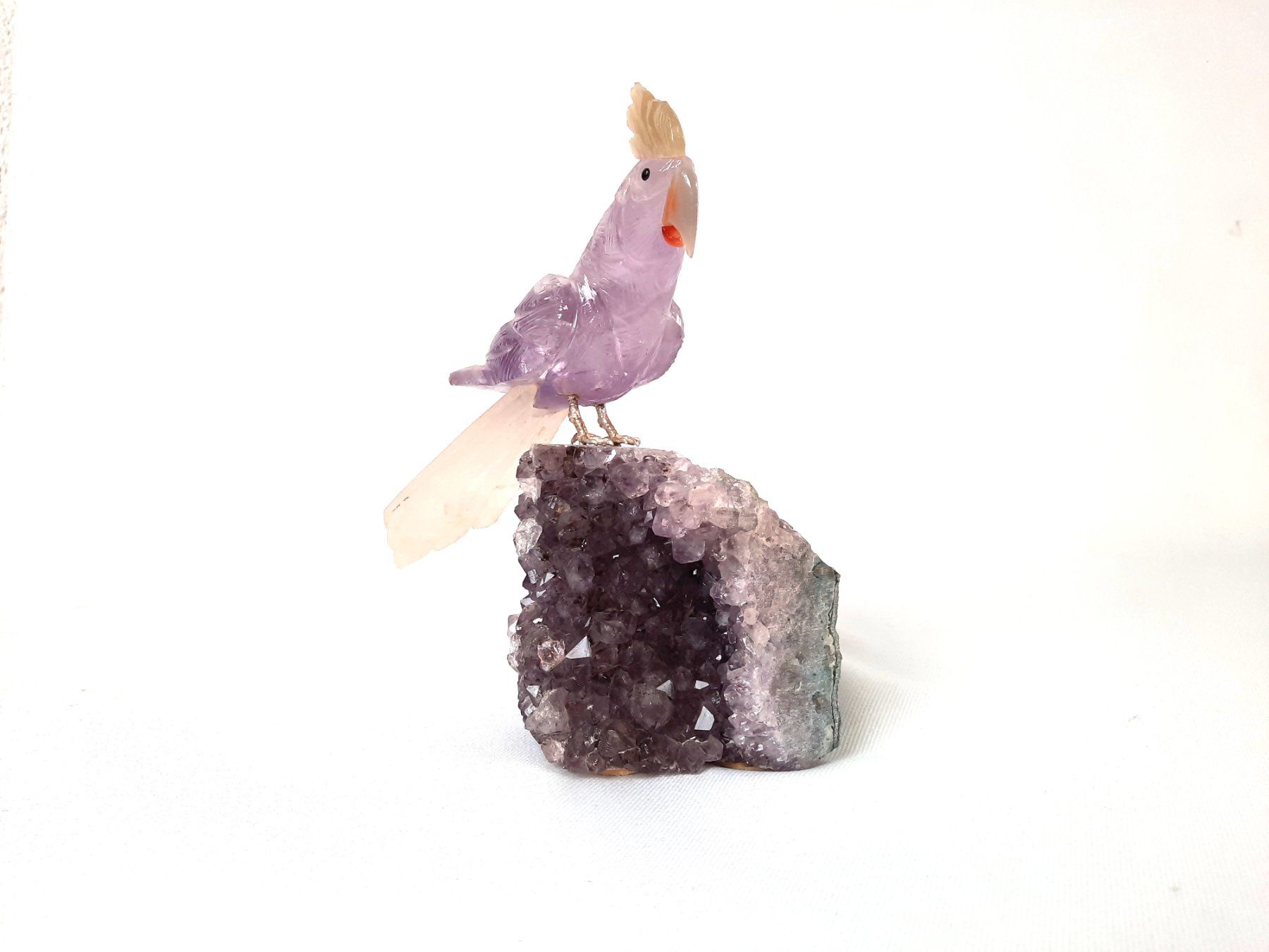 Minerali & Pietre curative: Papagei auf Amethyst – Usato da Beinwil am See venduto da Restwert_Beinwil 1