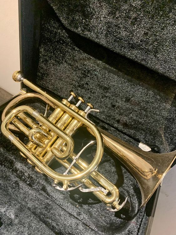 Yamaha Xeno Kaufen auf Ricardo