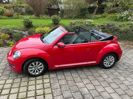 Beetle Cabriolet