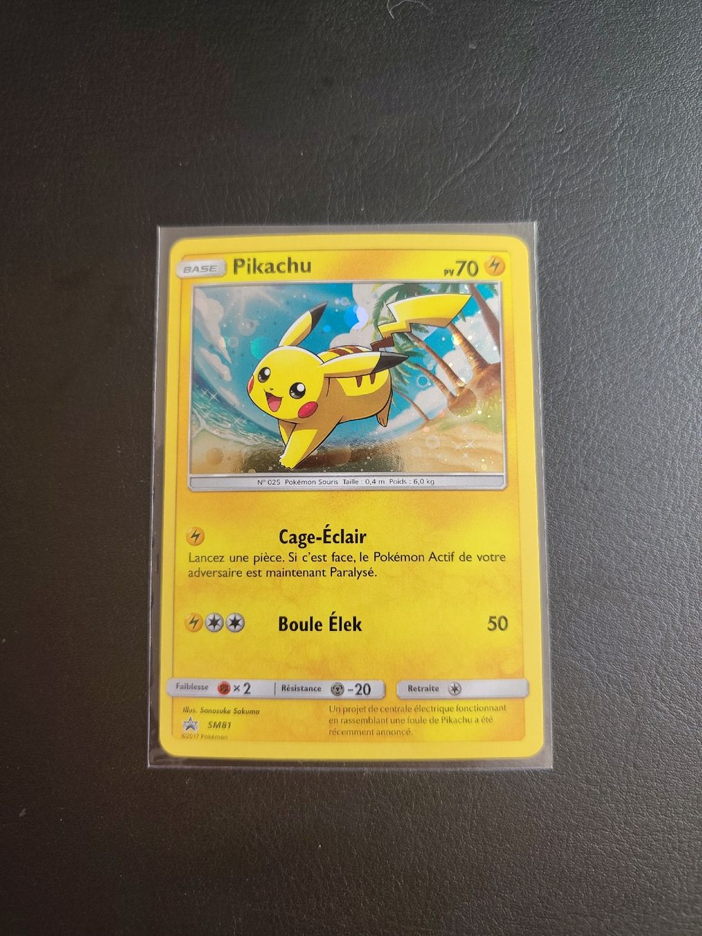 Pokémon Carte collezionabili: Pikachu SM81 – Nuovo (secondo la descrizione) da Lausanne venduto da PokePoke
