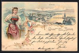 Litho Zürich, die Stadt aus der Vogelsc