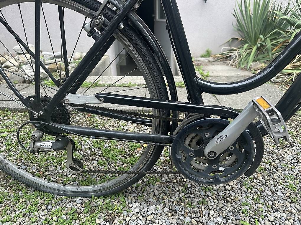Velos: Damenvelo – Gebraucht aus Bern von ilariamaria 1