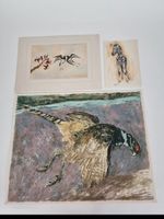 Originale Tier-Lithographie/Grafik, div. Künstler, Top!