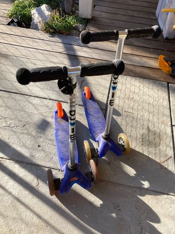 Kickboard Kaufen auf Ricardo