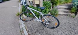 Fahrrad Spezialized Crosstrail elite