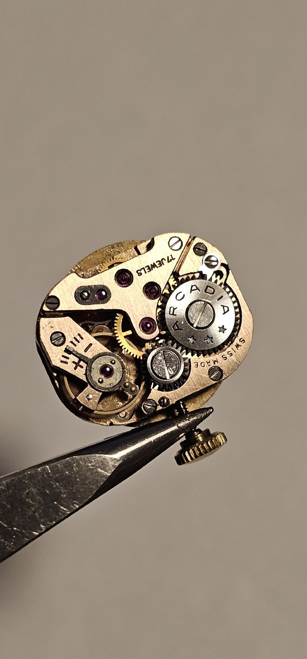 Orologi: Arcadia 17 rubis, Swiss Made – Usato da Genève venduto da Fresko01 2