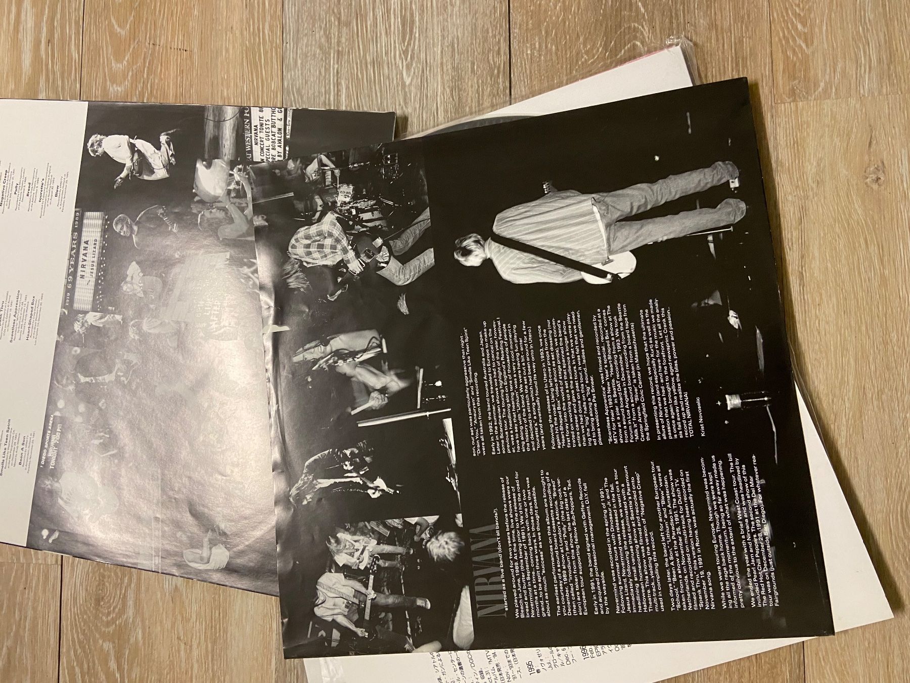 Vinyles: NIRVANA From the muddy banks  OBI 2LP – D'occasion à founex par cetrarese01 8