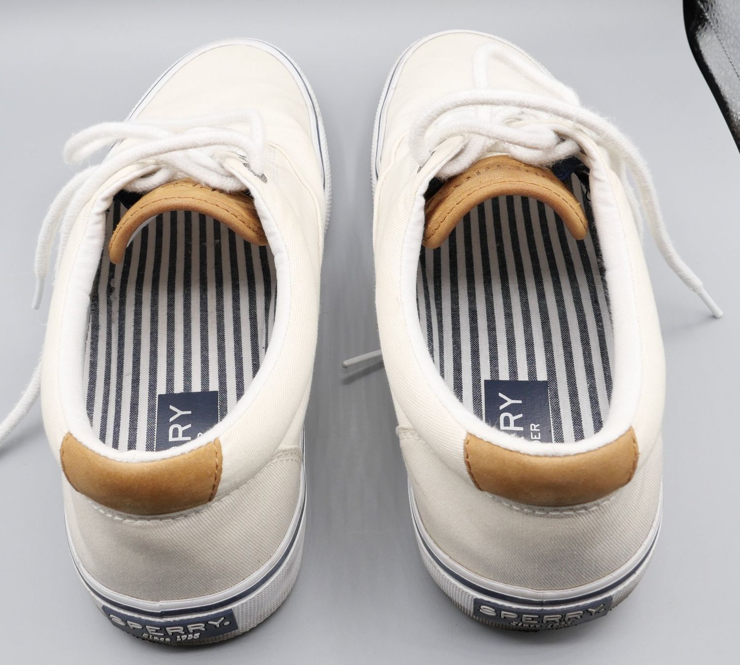 Scarpe da uomo: Sneakers SPERRY Striper II CVO White – Usato da Nyon venduto da WHTF 1