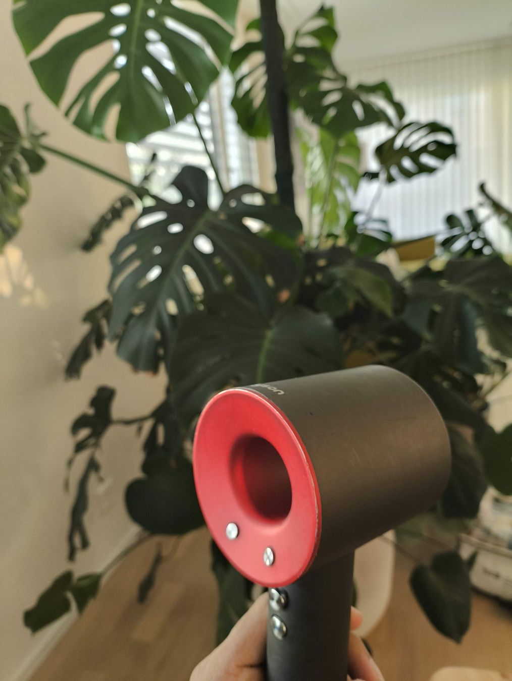 Dyson Sèche-cheveux: Dyson Haartrockner HD08 – Défectueux à Rümlang par ricardean 1