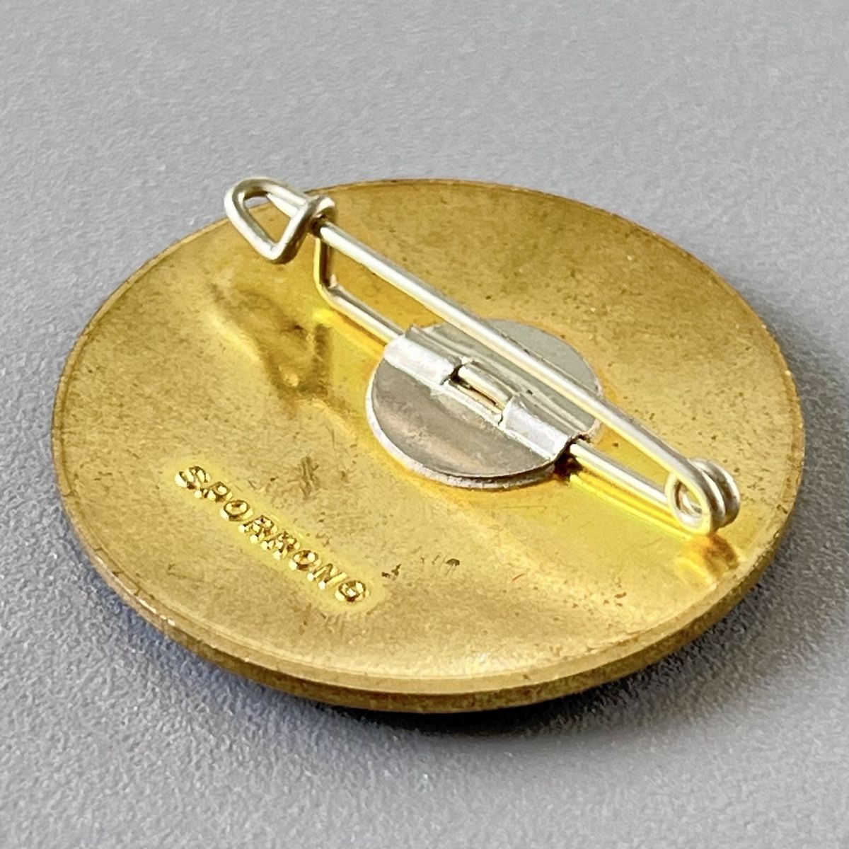 Placchette & Badge: Badge Vasaloppet Sälen-Mora Suède  – Nuovo (secondo la descrizione) da Vuisternens-devant-Romont venduto da ribouldog 4