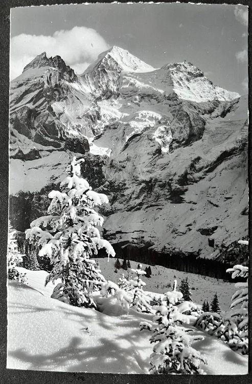Bei Kandersteg Schneetannen mit Blümlisalp Photo | Kaufen auf Ricardo