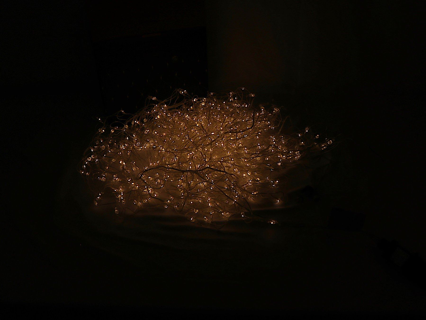 Ghirlande e barre luminose: GLORY LIGHT Lichternetz 200 x 300 cm 800 LED WW – Nuovo (secondo la descrizione) da Steinen venduto da Restwert_Steinen 5