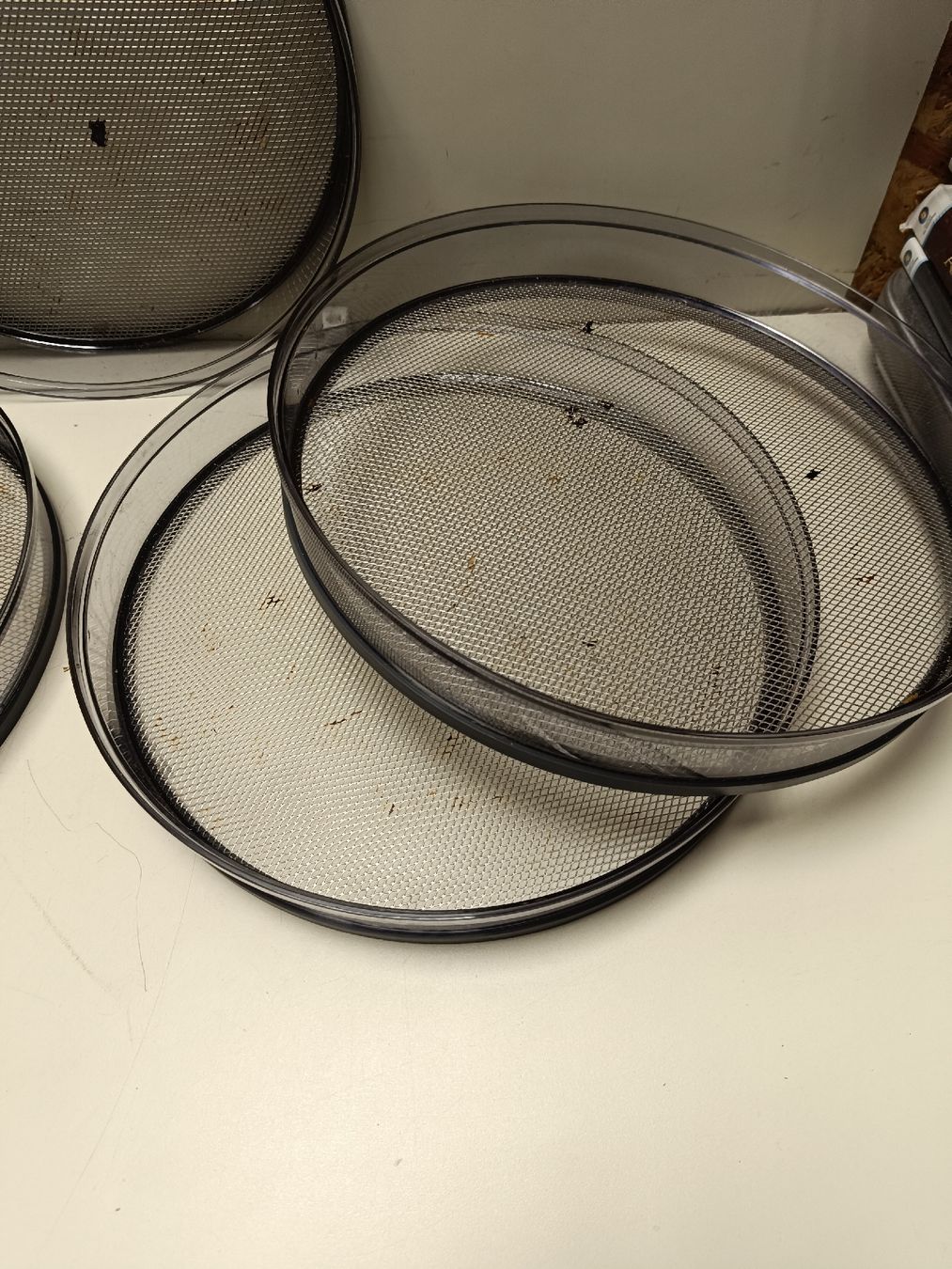 Stöckli Elettrodomestici da cucina: Stöckli Dörrautomat (em450) – Usato da Künten venduto da Schnaepplihuus 5
