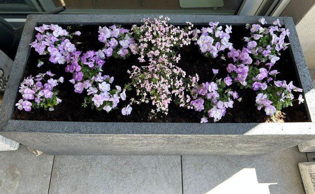 Pots de fleurs: Pflanzengefäss "Gartec Fiber Trough Rough" – D'occasion à Vaduz par game81 1