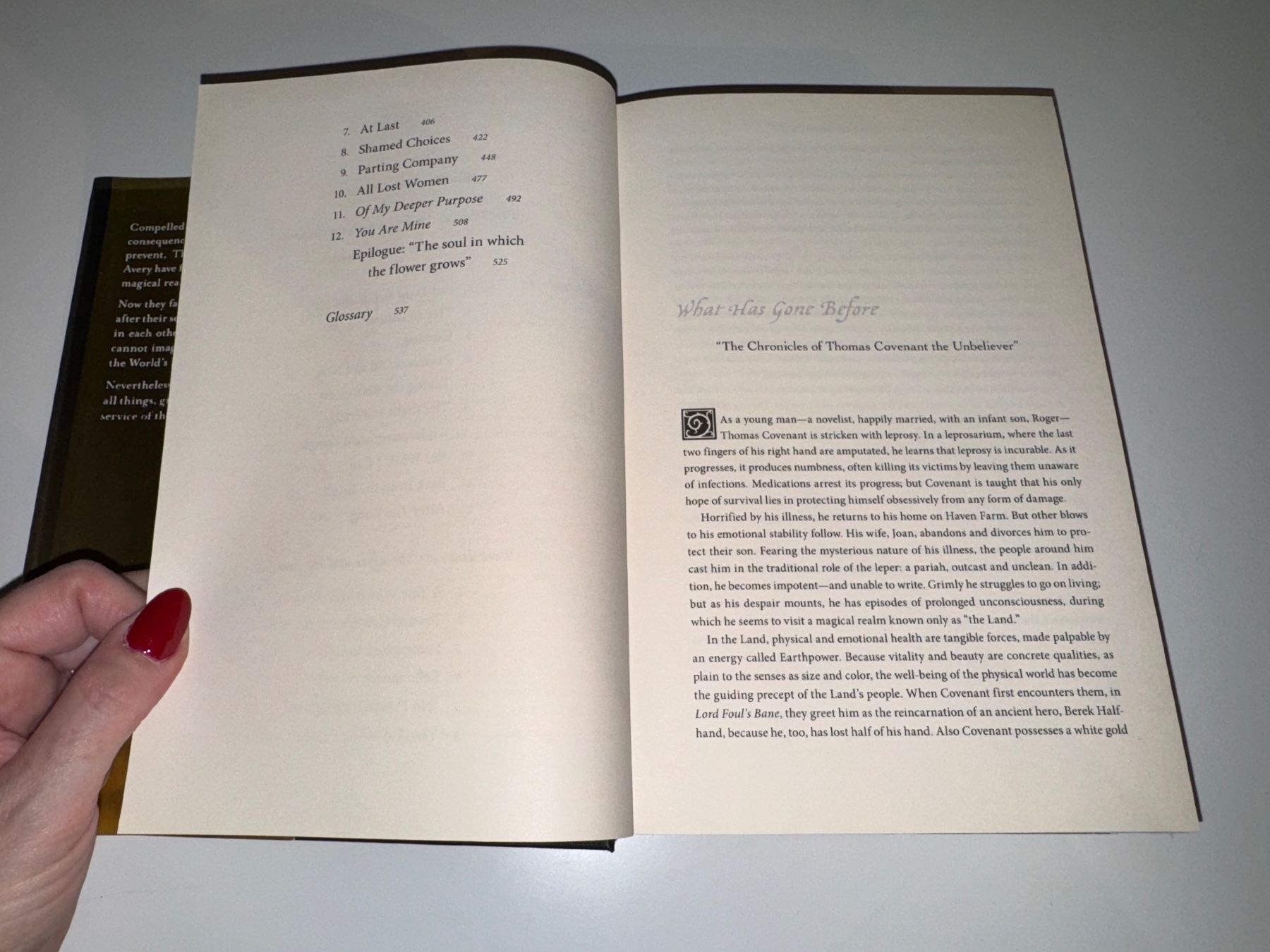 Libri: NOVEL: Stephen Donaldson, The last dark – Usato da Grosswangen venduto da English_books 6