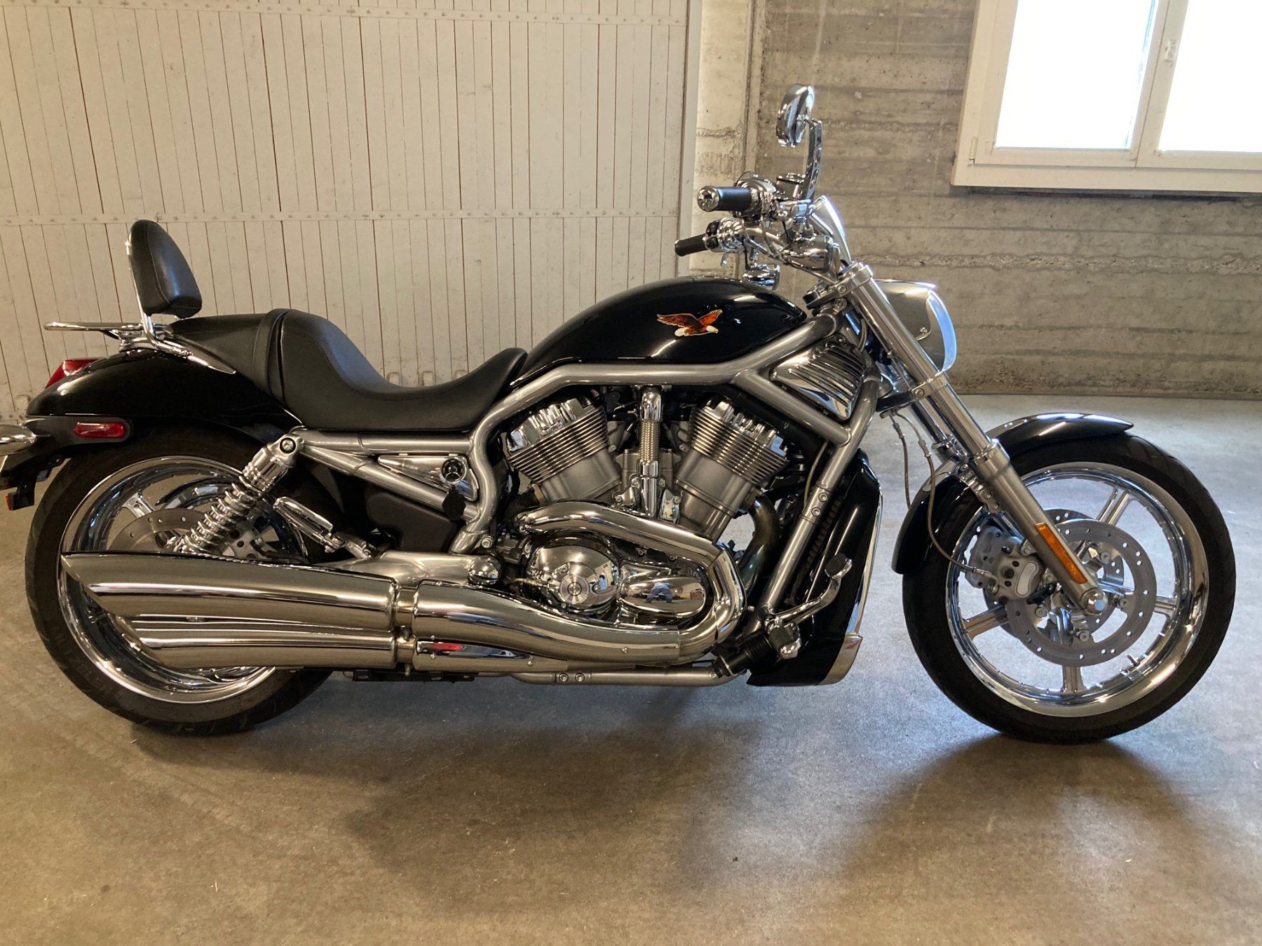 Harley-Davidson Chopper: HARLEY-DAVIDSON VRSCA V-Rod A – Gebraucht aus Buchs LU von JohnBT