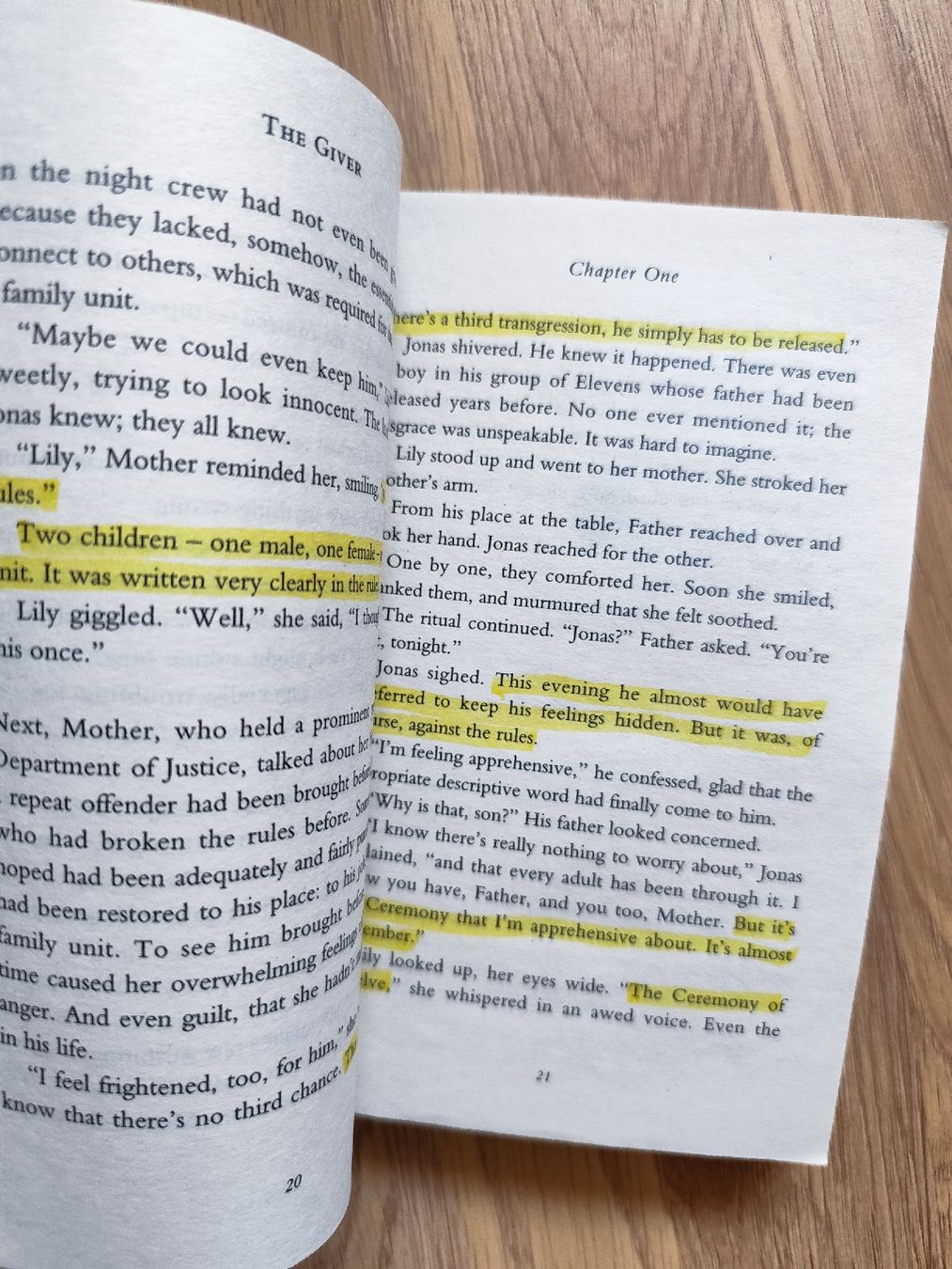 Bücher: The Giver Lois Lowry – Gebraucht aus Mägenwil von VintageGirly 8