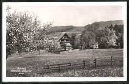 Hemberg, Pension Scherrer, Rohr, gelaufen 1934