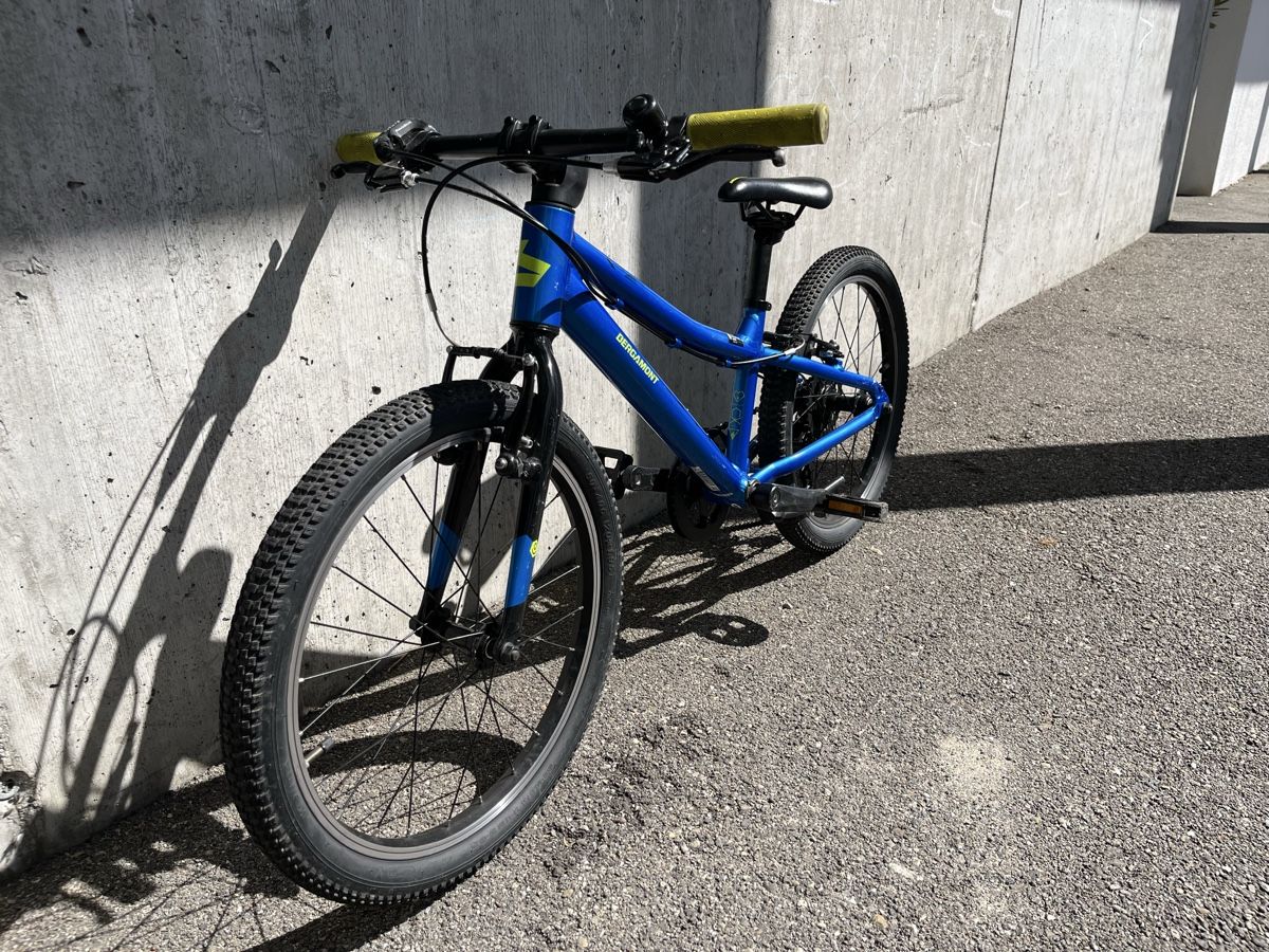 Bergamont Biciclette: Kindervelo Bergamont – Usato da Bremgarten b. Bern venduto da vezia79 6