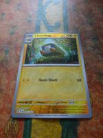 POKEMON  Charjabug   H  TEF EN  055/162  HP100  2024