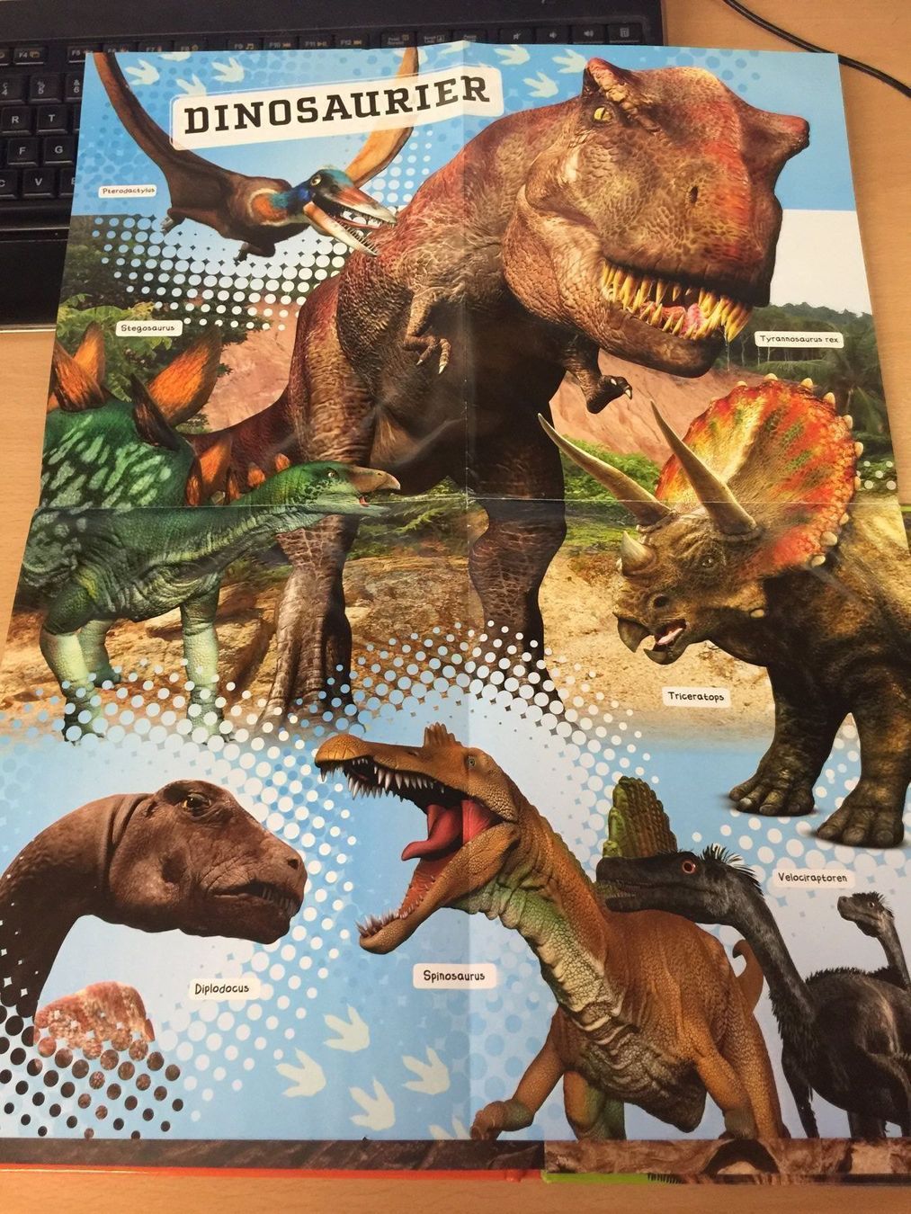 Libri: Warum hatten Dinosaurier Schuppen? – Usato da Glattfelden venduto da cybermaxx 8