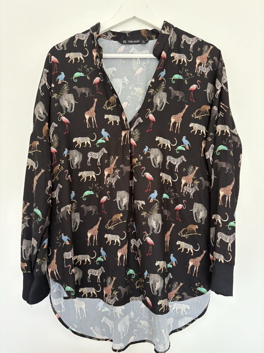 Zara Camicette: Bluse Zara basic – Usato da Köniz venduto da ylepa