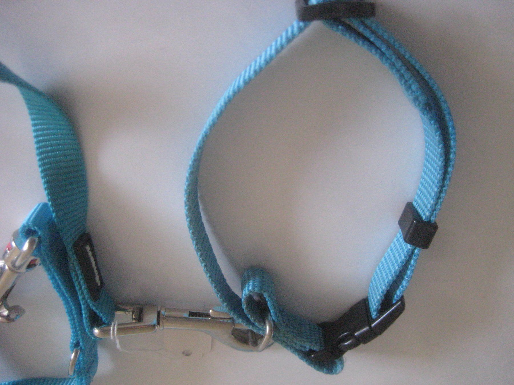 Leine & Halsband: HUNDE LEINE UND HALSBAND – Neu (gemäss Beschreibung) aus Uster von flocke1 1