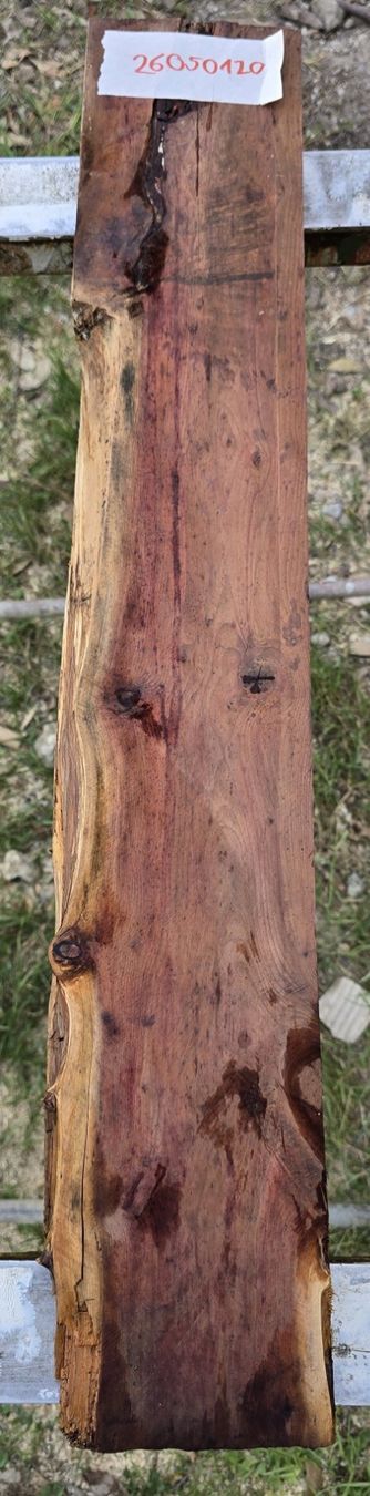 Holzartikel: Altes Holzbrett  – Gebraucht aus Rorschacherberg von snOOpydOg11