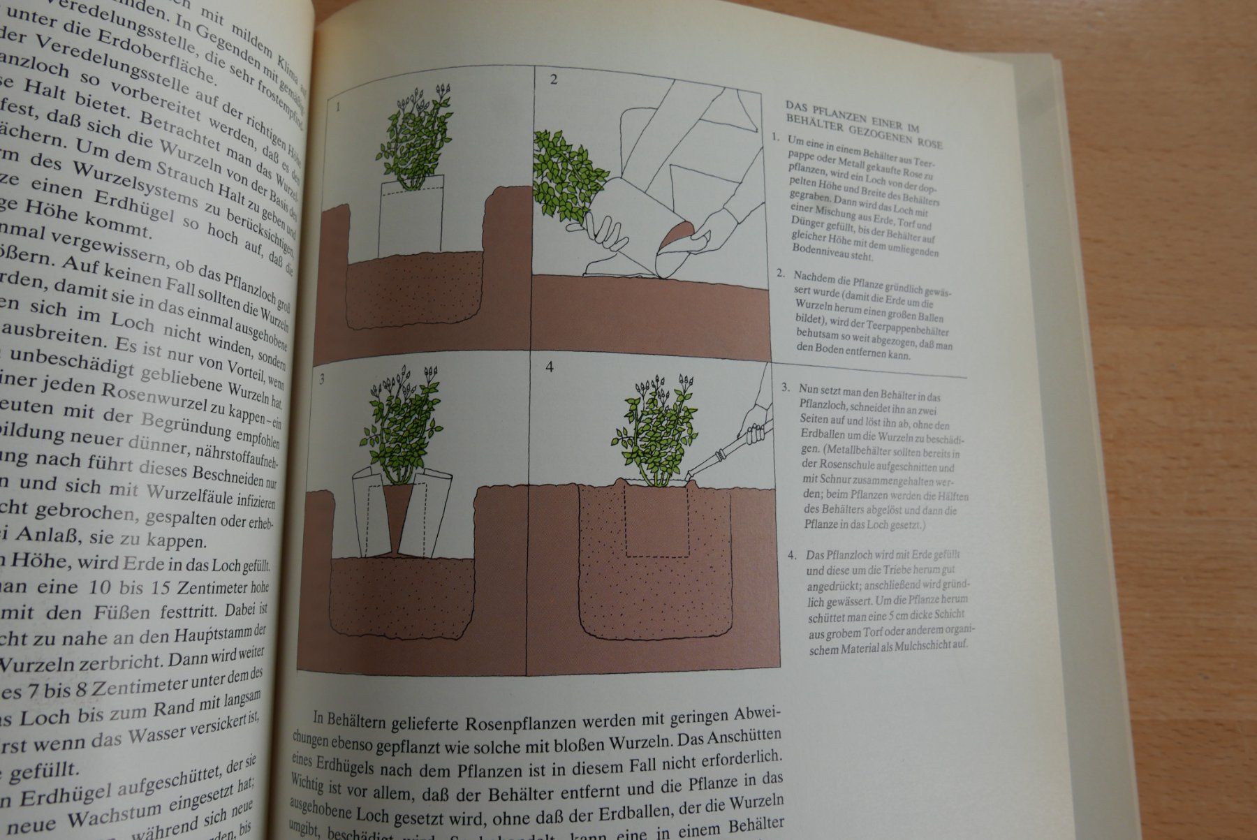 Livres: Rosen Buch – D'occasion à Rotkreuz par nigal 8