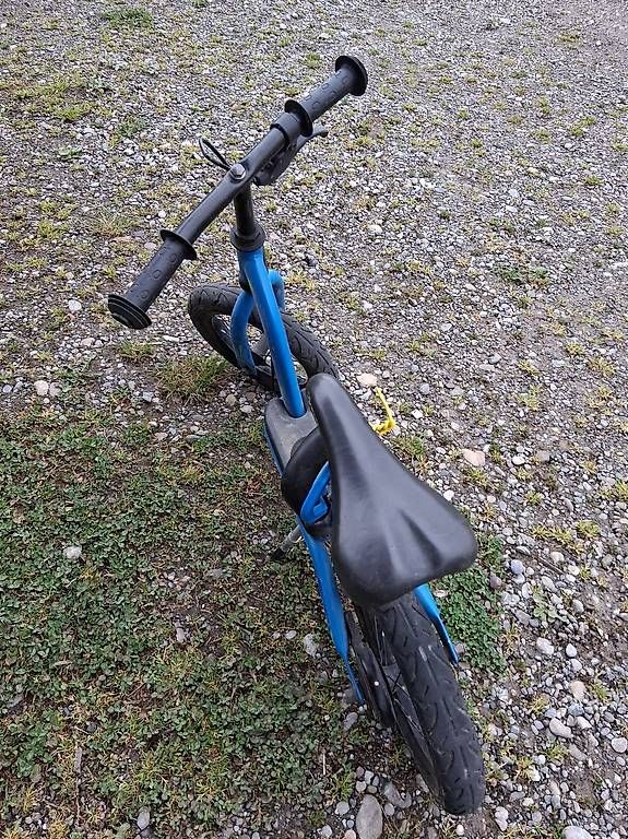 Veicoli per bambini: Laufrad 12 Zoll – Usato da Schönholzerswilen venduto da ToStu11 2
