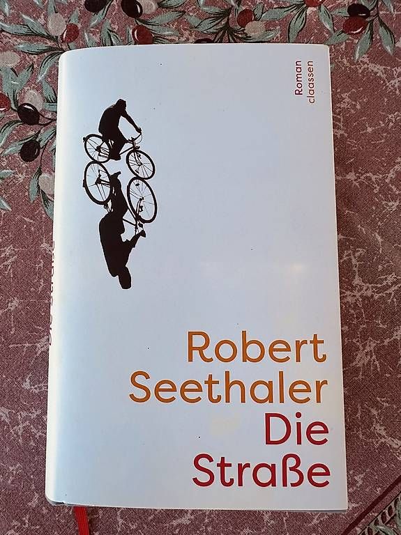 Libri: Robert Seethaler: Die Strasse Roman, gut erhalten, Frühli... – Usato da Kienberg venduto da Hotzenwaelder1984