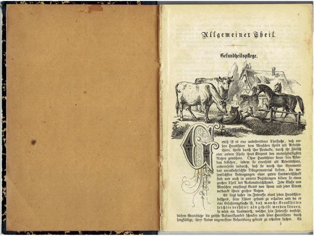 Bücher: Gesundheitsbuch Landwirtschaft – Defekt aus Flims - Dorf von Stagediver