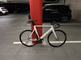 Rennrad Aventon Mataro 2018 - white