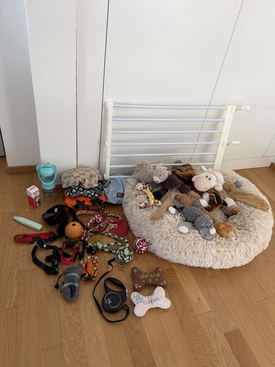Cucce & Letti: Grosses Hunde Set – Usato da Reiden venduto da fashion_2021