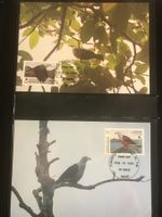 WWF Mikronesien 1990 Eisvogel Fruchttaube Maximumkarten