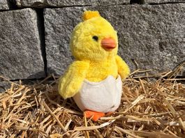 Das Hühnchen Gustav  zum Adoptieren