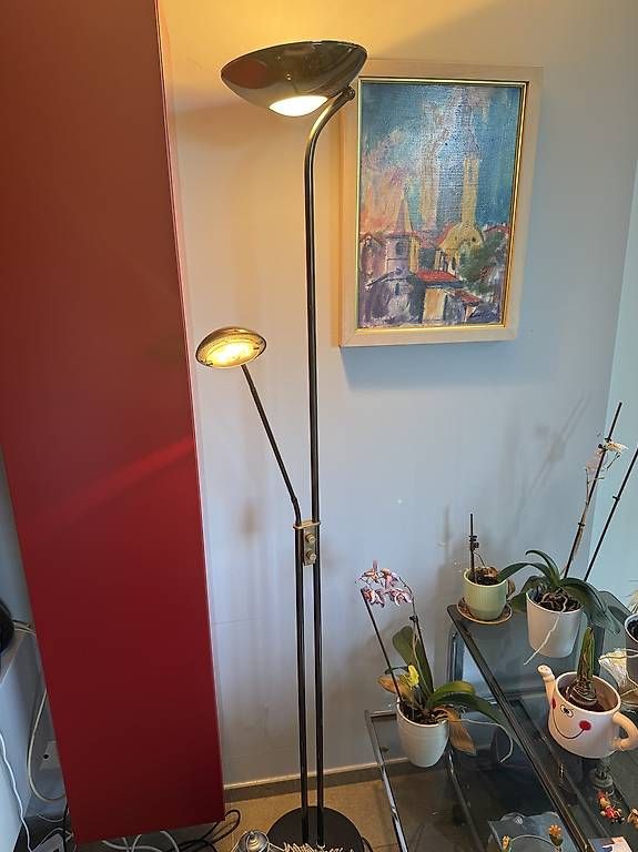 Lampade: Lampada da terra a stelo – Usato da Breganzona venduto da ape_8gkb