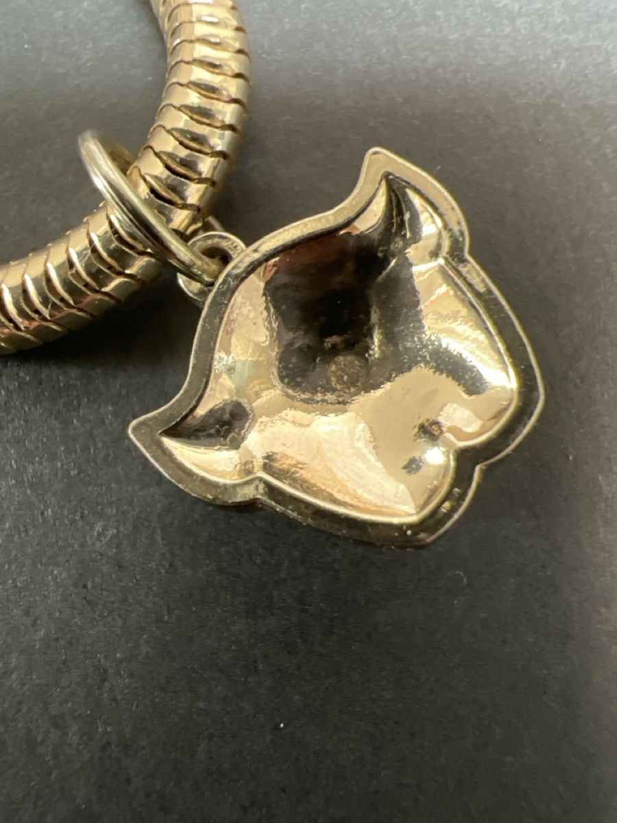 Catenine: Goldige Kette mit Panter Anhänger – Usato da HORGEN venduto da vladibarca10 5