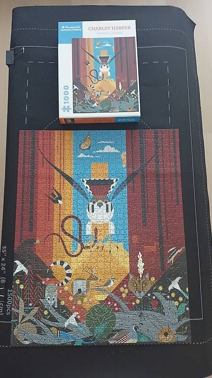 Puzzles: Puzzle dès 1000 pièces – D'occasion à Thônex par dcas-1226 1