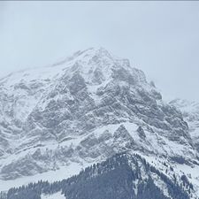 Profile image of Samueai